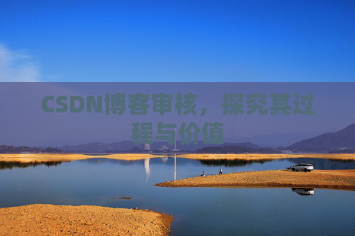 CSDN博客审核，探究其过程与价值